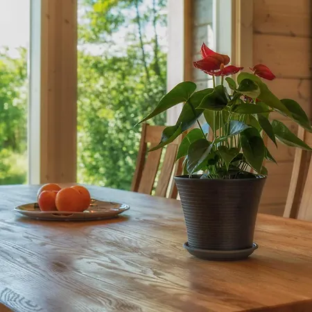 Granbergs Gaesthus Och Gaesthem * Eckero